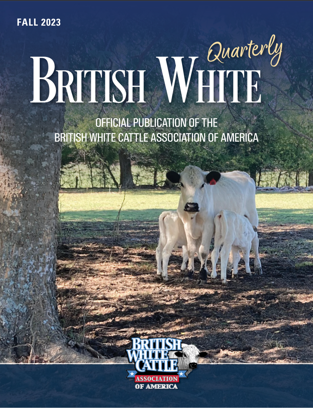 Fall 2023 British White Quarterly