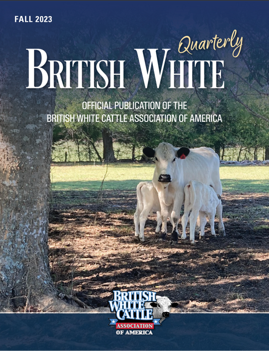 Fall 2023 British White Quarterly