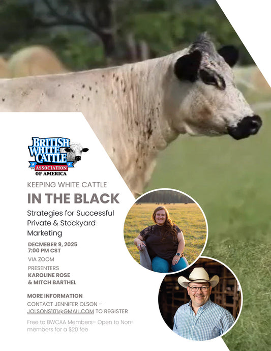 Keeping White Cattle In The Black