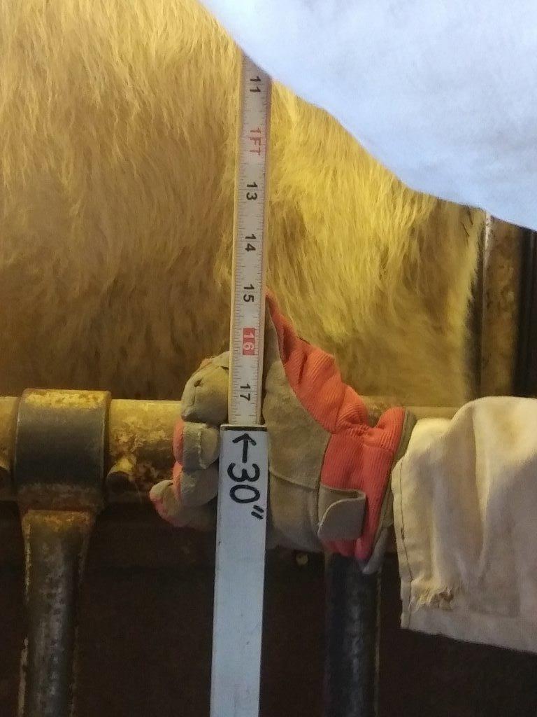 FREE HIP HEIGHT MEASURING STICK (with strings attached)