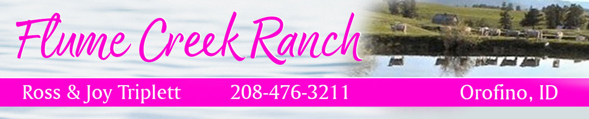 Flume Creek Ranch