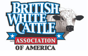 About British White Cattle – British White Cattle Association of America